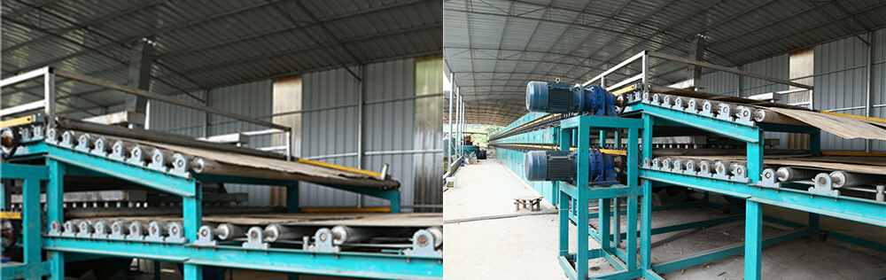 木皮大香蕉社区