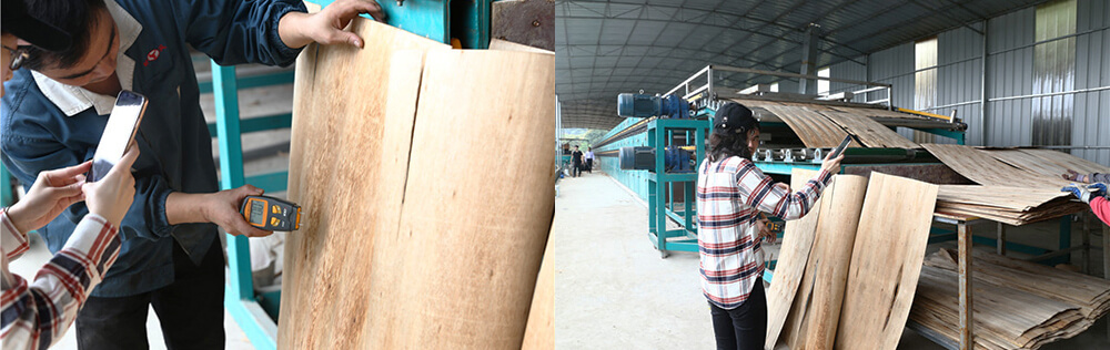 单板大香蕉社区