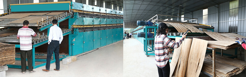 单板大香蕉社区 单板大香蕉社区