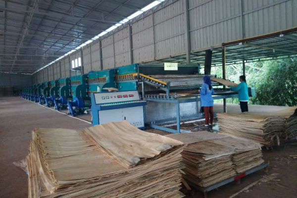 双层单板大香蕉社区