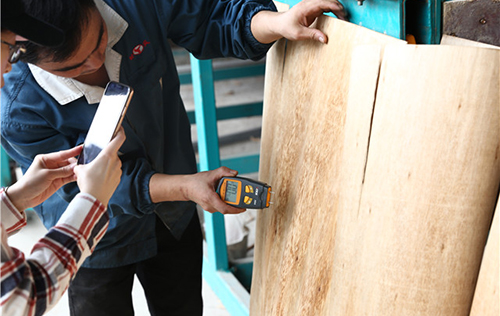 齐齐哈尔多层木材91香蕉视频软件下载多少钱