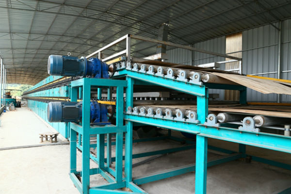 木皮大香蕉社区