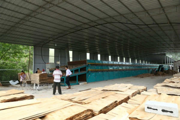 中板大香蕉社区