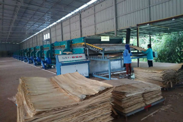 木材大香蕉社区工作现场