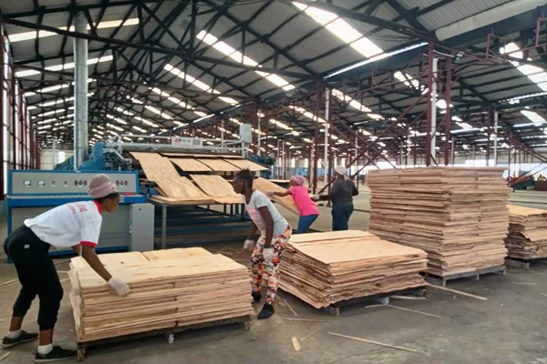 芯板大香蕉社区