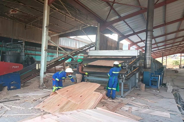 杨木单板91香蕉视频软件下载